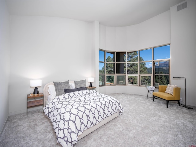 bedroom with carpet flooring