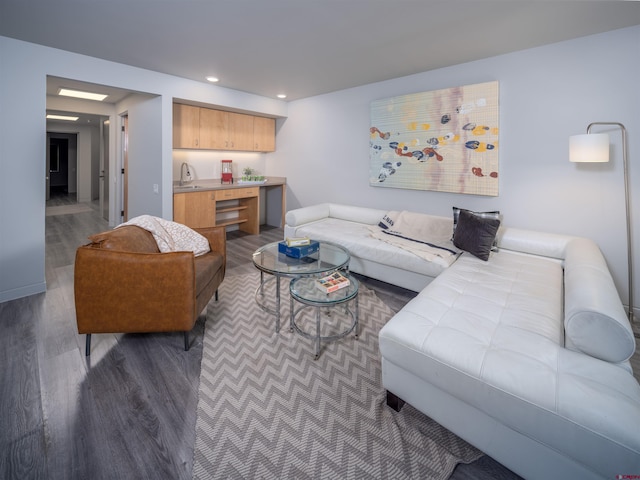 living room with sink and dark wood-type flooring