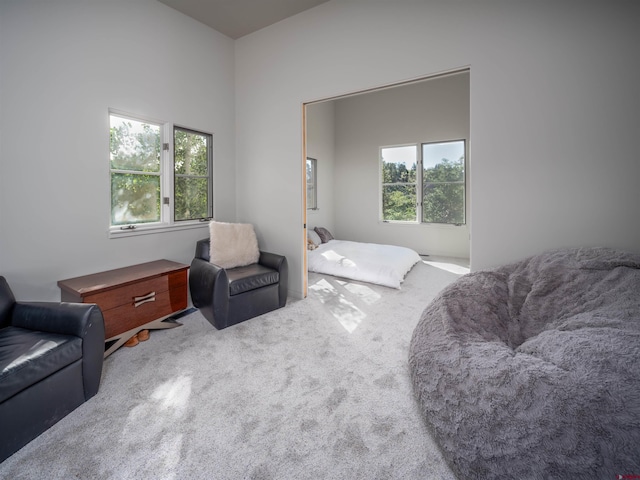 bedroom featuring multiple windows and carpet flooring