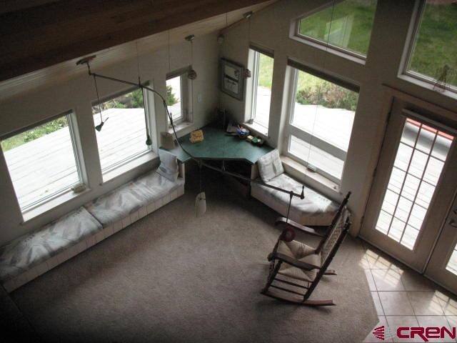 interior space featuring high vaulted ceiling and a healthy amount of sunlight