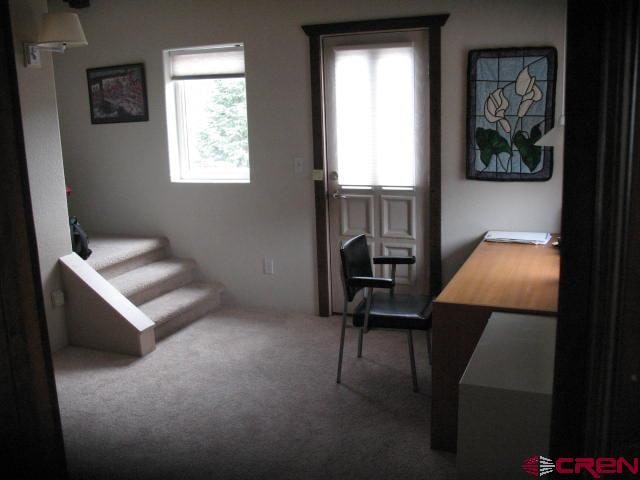 interior space with carpet floors