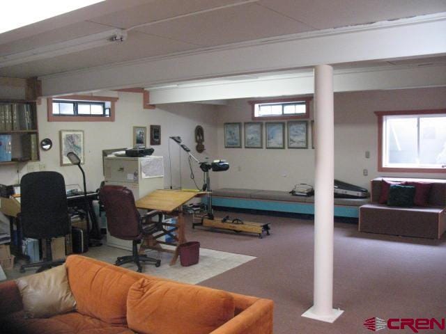 exercise room with carpet