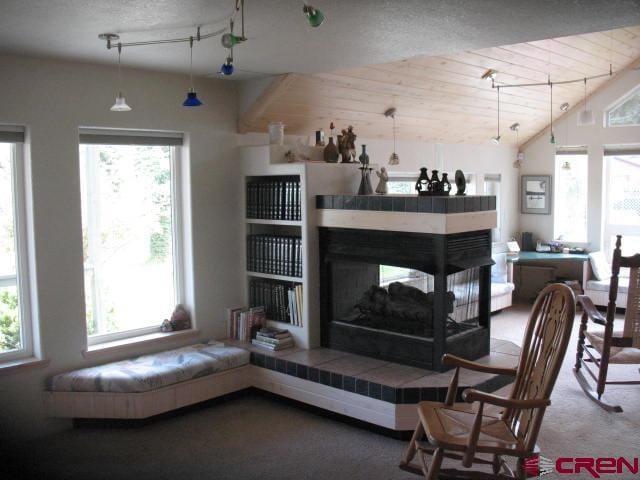 living room featuring a multi sided fireplace, carpet, and vaulted ceiling