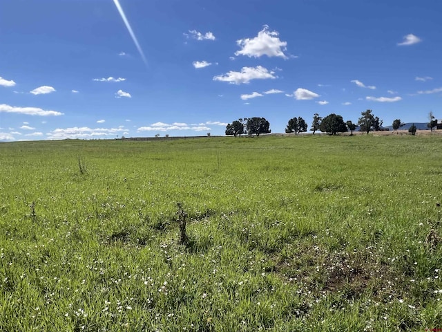 TBD Road N.2, Mancos CO, 81328 land for sale