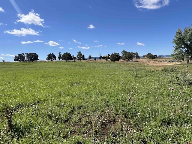 Listing photo 3 for TBD Road N.2, Mancos CO 81328