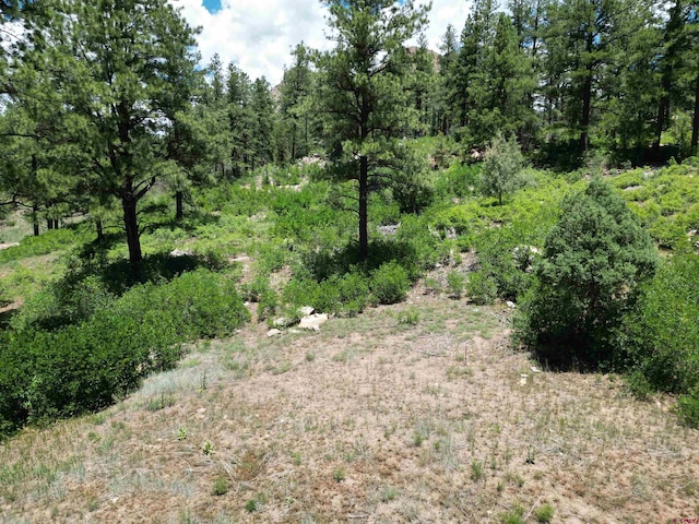 1156 Twin Buttes Ave, Durango CO, 81301 land for sale