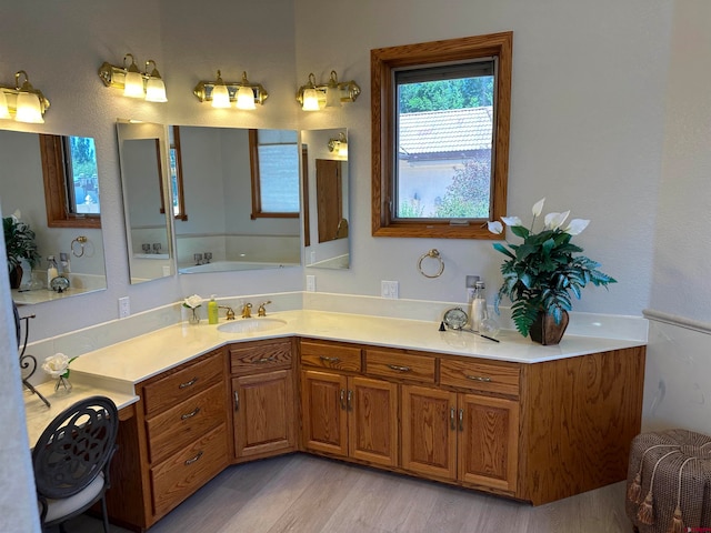 bathroom featuring vanity and wood-type flooring