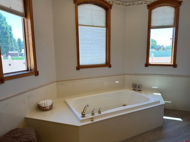 bathroom featuring a washtub, a wealth of natural light, and hardwood / wood-style floors