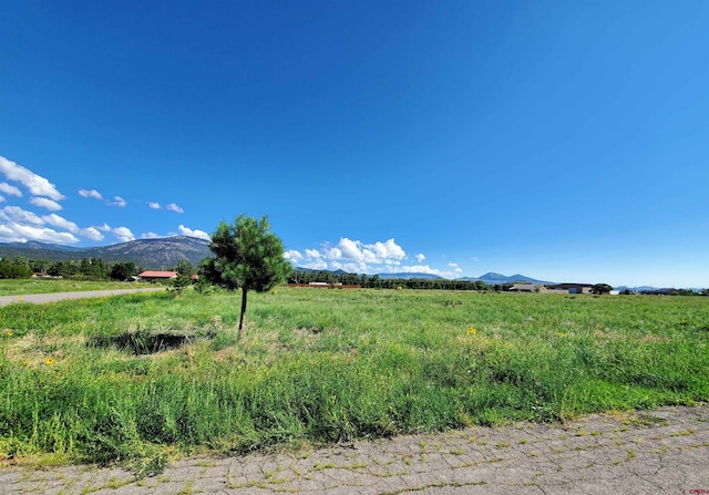 Listing photo 2 for 000 Shoshone Trl, South Fork CO 81154