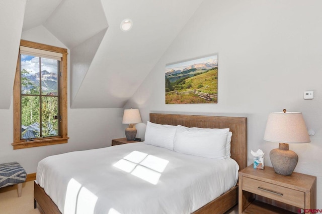 bedroom featuring lofted ceiling