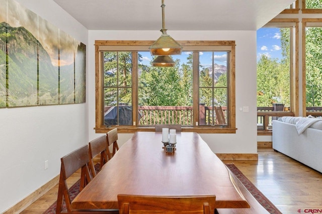 dining room with hardwood / wood-style flooring and plenty of natural light