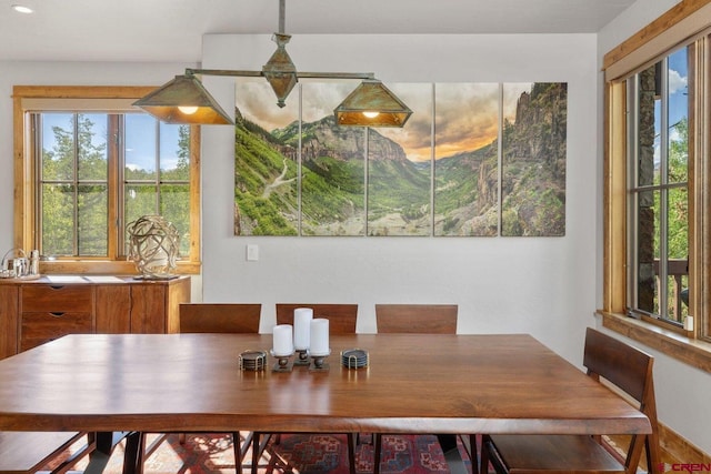 dining area featuring plenty of natural light