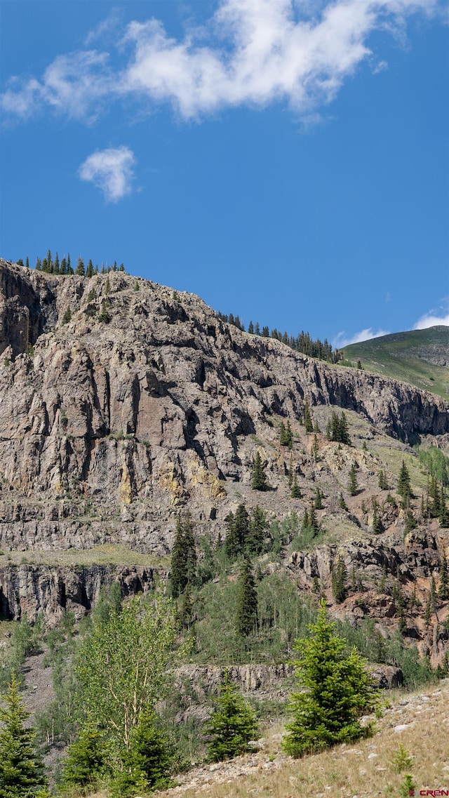 TBD 2 Road, Silverton, CO 81433