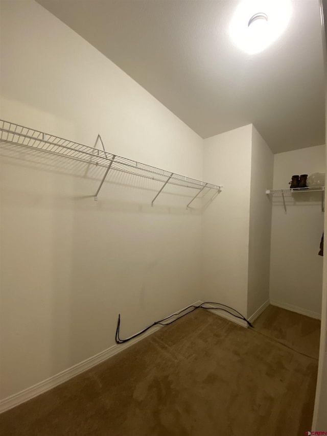 walk in closet with vaulted ceiling and carpet floors