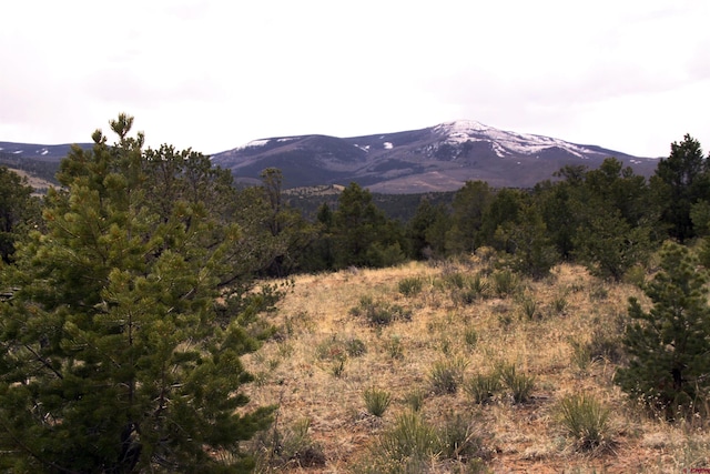 877 Vail Pass Rd, South Fork CO, 81154 land for sale