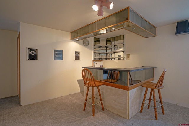 bar featuring carpet floors