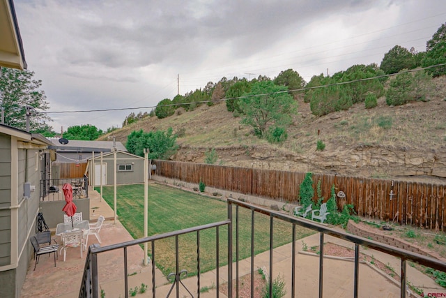 view of yard featuring a patio area and a storage unit