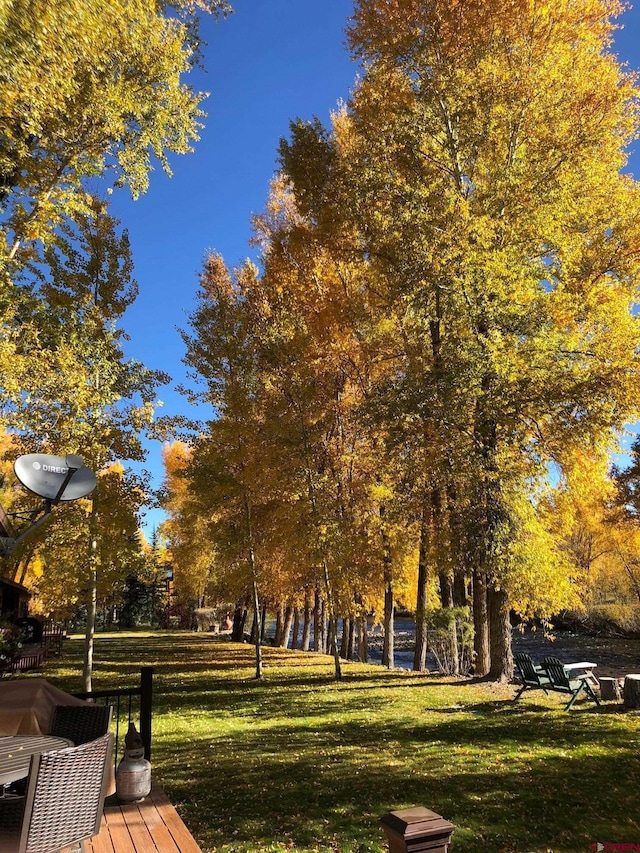 view of community with a yard