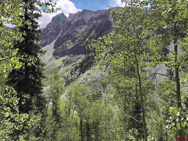 LittleGiant County Road 21, Silverton CO, 81433 land for sale