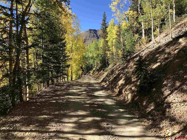 Listing photo 3 for LittleGiant County Road 21, Silverton CO 81433