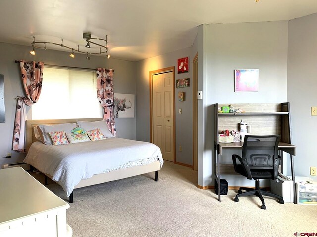 bedroom with a closet and carpet floors