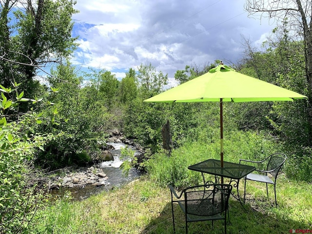 view of yard with a water view