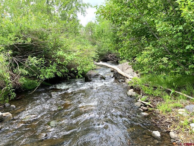 view of nature with a water view