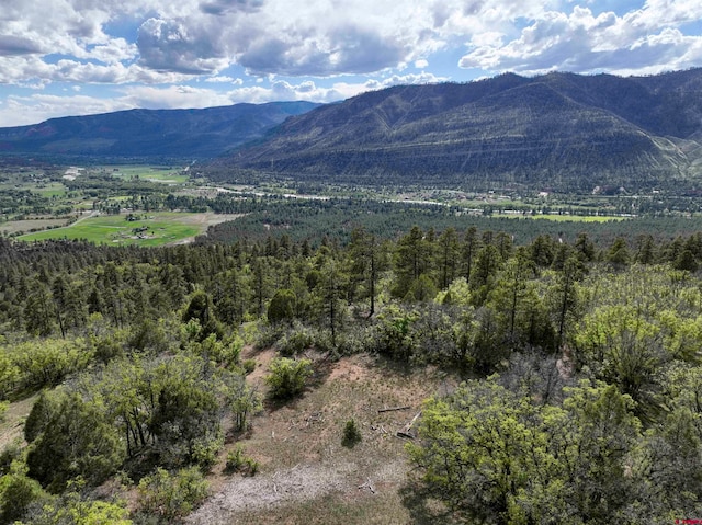 3158 Elkhorn Mountain Rd, Durango CO, 81301 land for sale