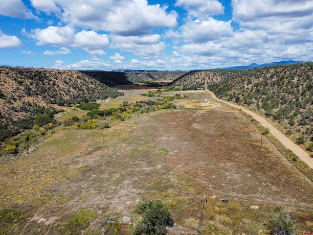 birds eye view of property featuring a mountain view