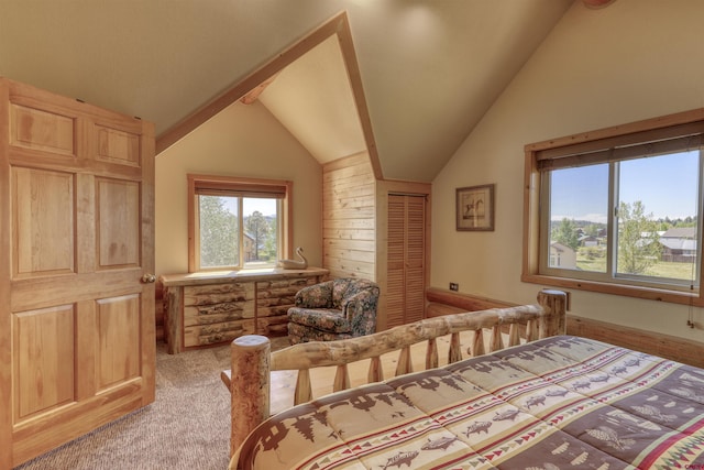 carpeted bedroom with vaulted ceiling and a closet