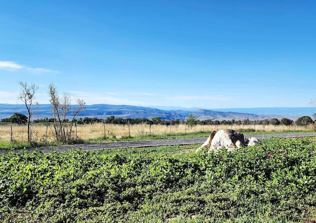 property view of mountains with a rural view