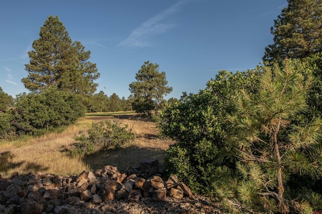 view of landscape