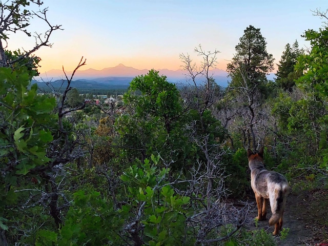 672 Carino Pl, Pagosa Springs CO, 81147 land for sale