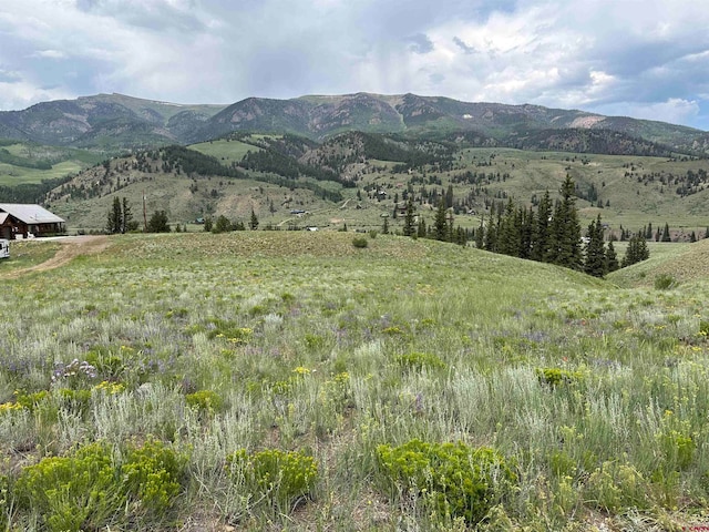 1267 Whiskey Ln, Creede CO, 81130 land for sale