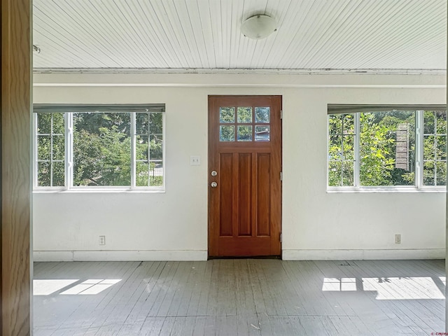 foyer featuring a wealth of natural light