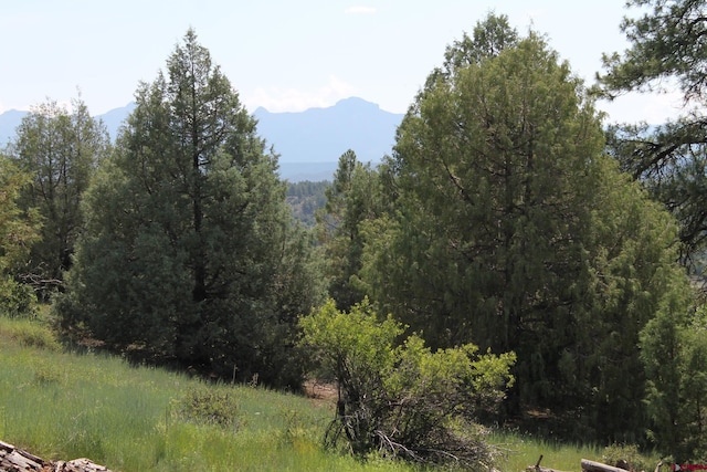 600 Engleman Pl, Pagosa Springs CO, 81147 land for sale