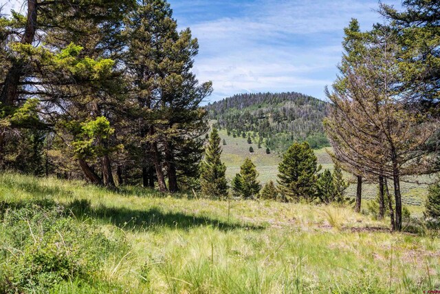 1021 Slumgullion Trl, Powderhorn CO, 81243 land for sale