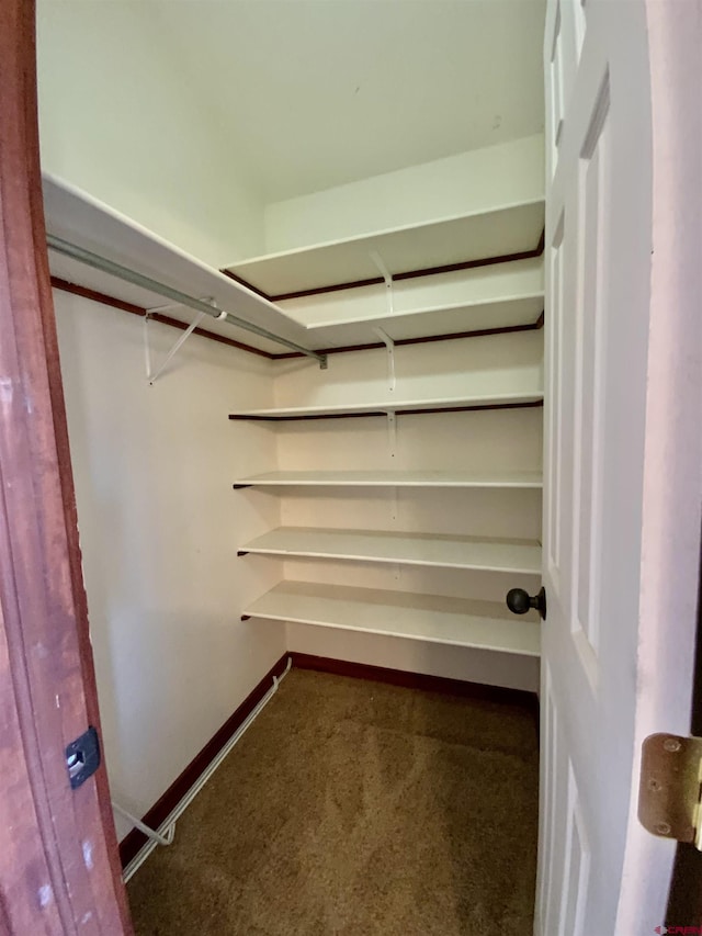 spacious closet with carpet floors