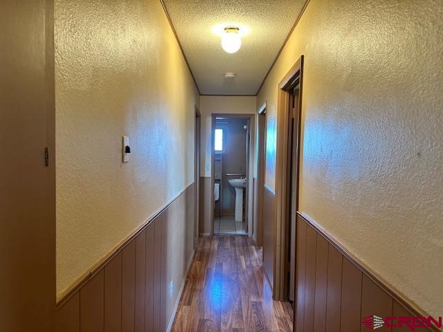 hall featuring hardwood / wood-style flooring, wood walls, sink, and a textured ceiling