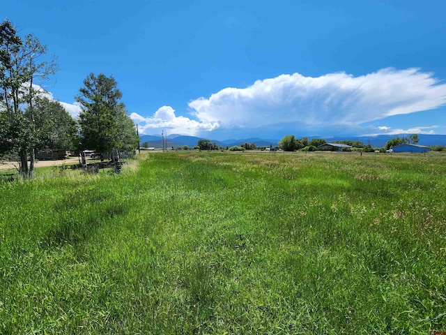 Listing photo 3 for TBD County Road 21, San Luis CO 81152