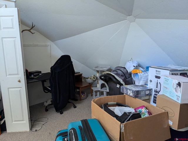 interior space with carpet and vaulted ceiling