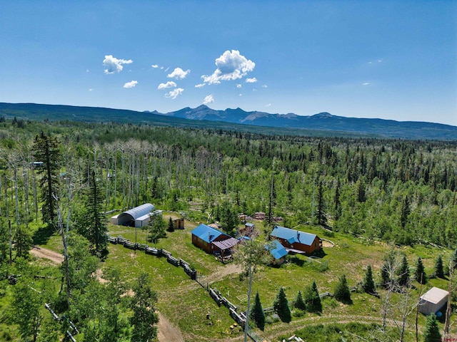 19958 Fs 327th Loop, Mancos, CO 81328 - drone / aerial view with a mountain view and a wooded view