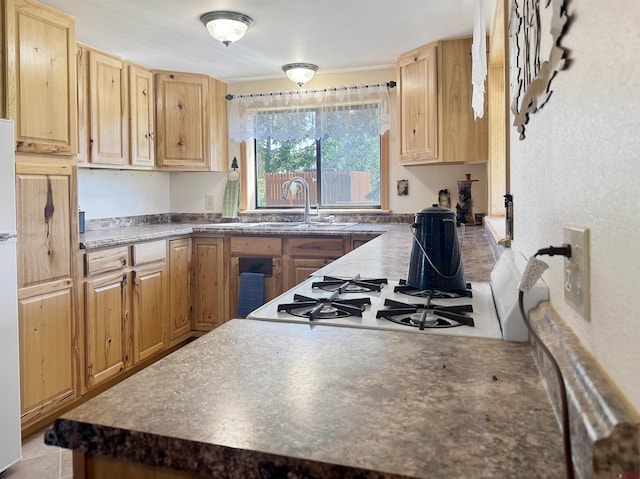19958 Fs 327th Loop, Mancos, CO 81328 - kitchen featuring a sink, dark countertops, and light brown cabinets