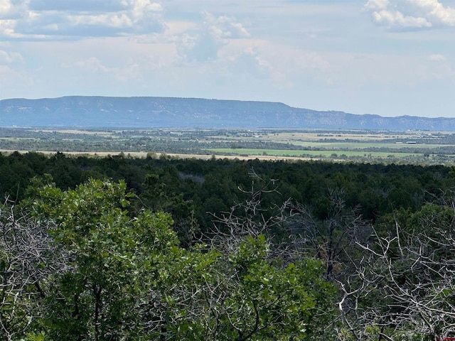 Listing photo 2 for TBD De Oro Way, Hesperus CO 81326