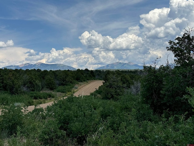 Listing photo 3 for TBD De Oro Way, Hesperus CO 81326