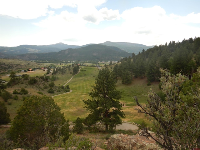 120 Fairway Ridge Ln, South Fork CO, 81154 land for sale