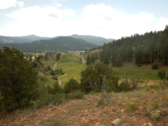 Listing photo 2 for 120 Fairway Ridge Ln, South Fork CO 81154