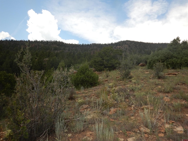 Listing photo 3 for 120 Fairway Ridge Ln, South Fork CO 81154