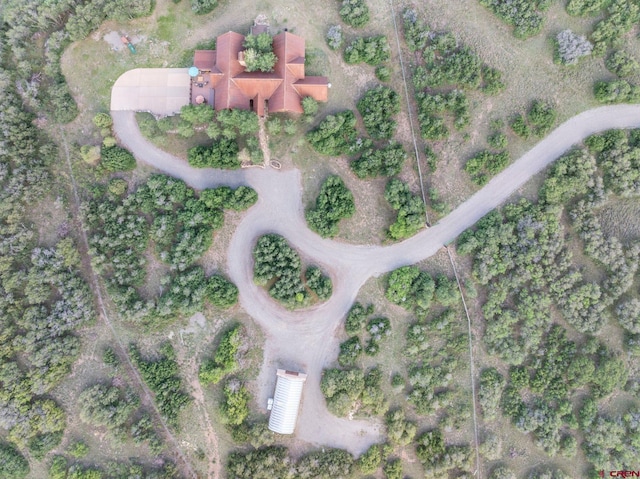 770 S Avalon Dr, Norwood, CO 81423 - aerial view
