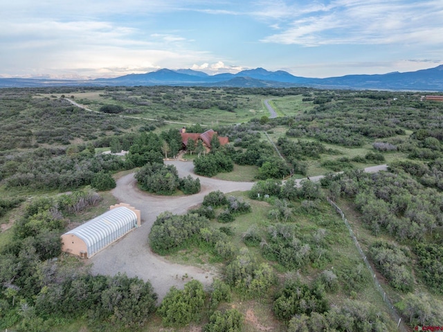 aerial view featuring a mountain view